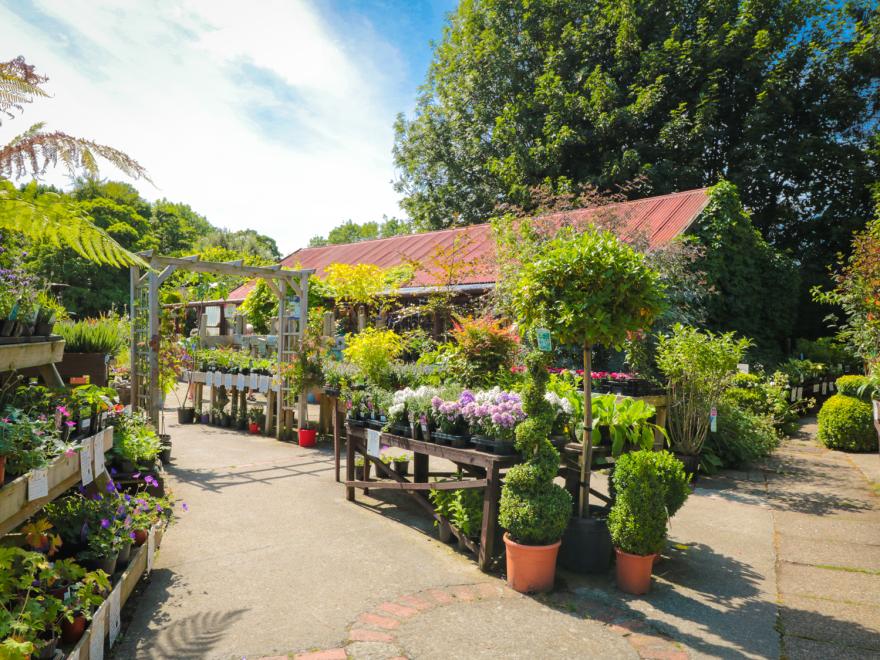 River Gardens Cottage