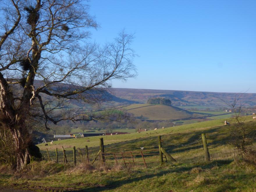 Little Byre Cottage