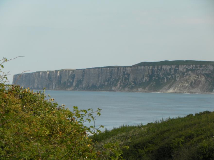 Nett's Coastal Escape