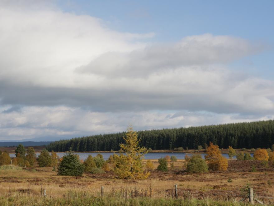Burnside Lodge (Lodge 1, Glengoulandie)