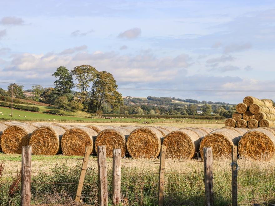Bonjedward Mill Farm Cottage