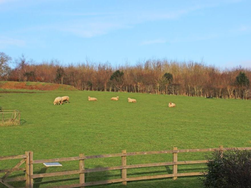 Cloverwell
