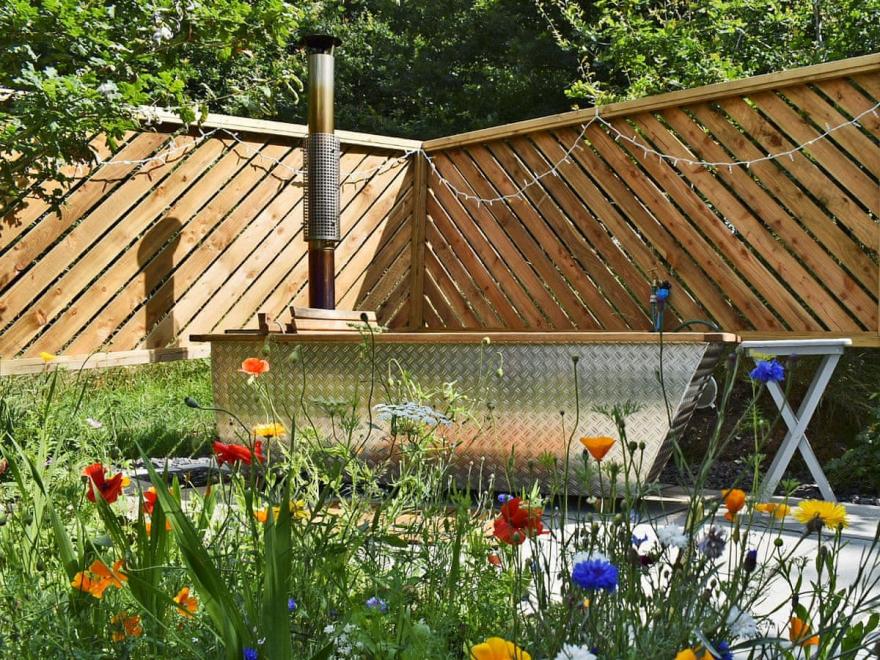 The Old Chicken House