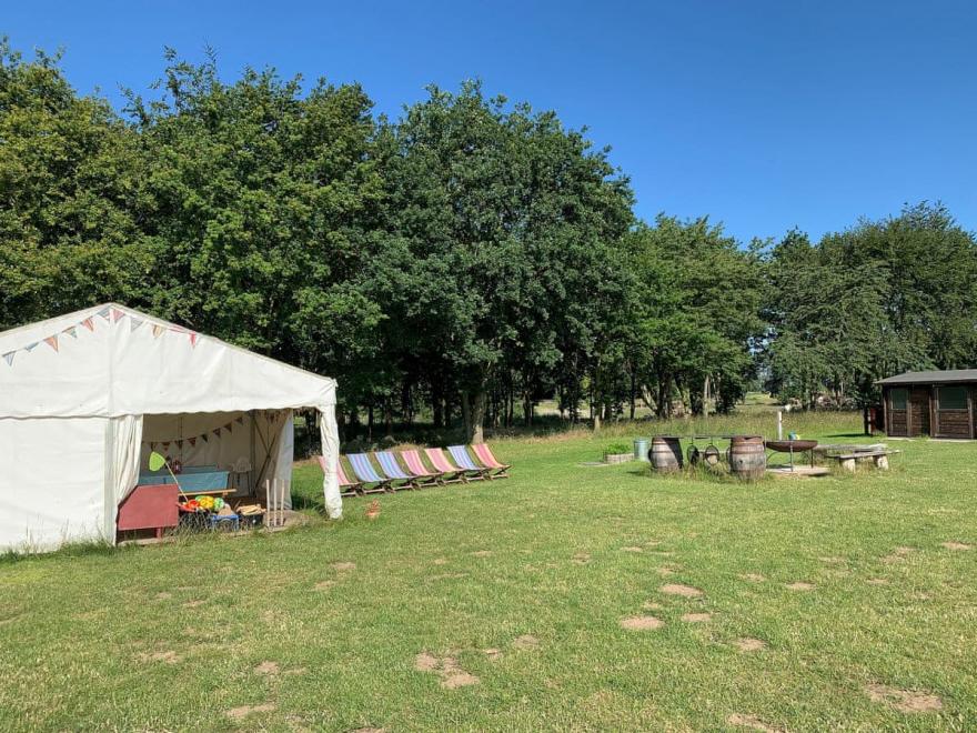 Bishey Barney Bee - UKC4110