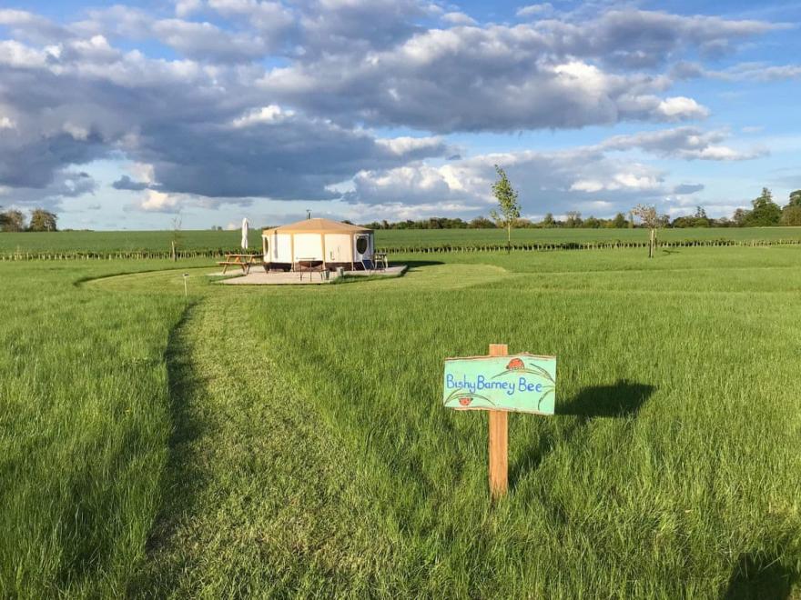 Bishey Barney Bee - UKC4110