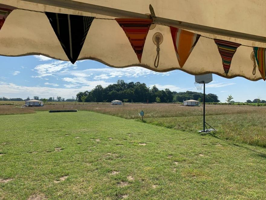 Pollywiggle - UKC4111