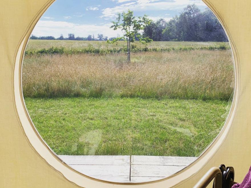 Pollywiggle - UKC4111