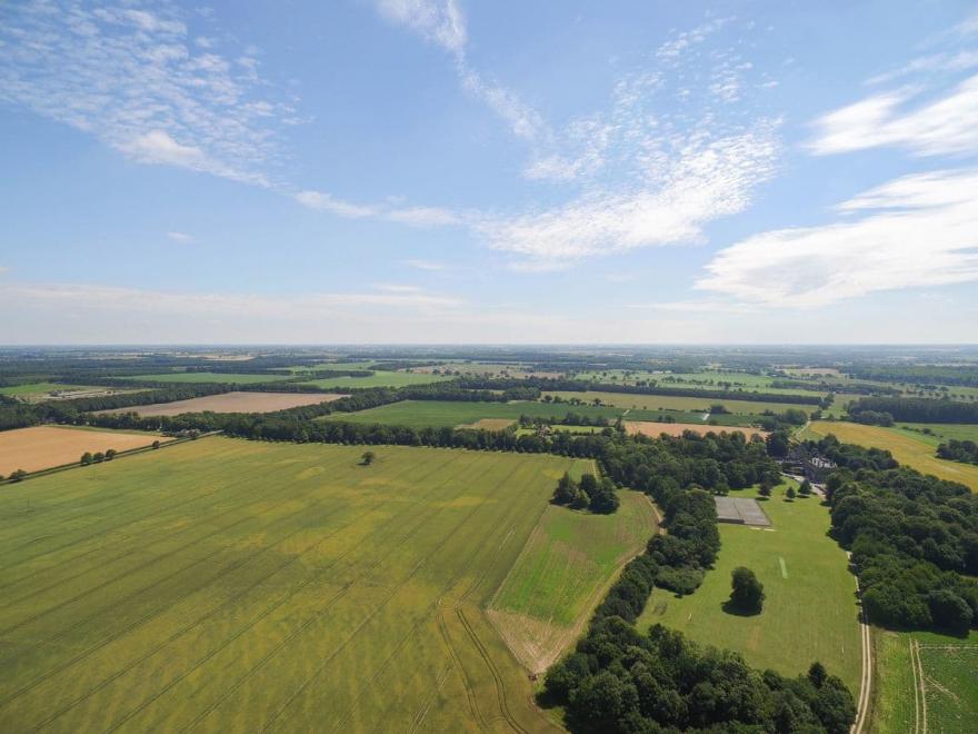 Pollywiggle - UKC4111