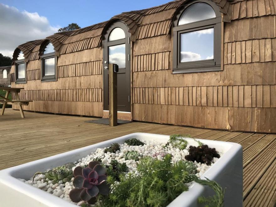 The Pilchard - UKC4168