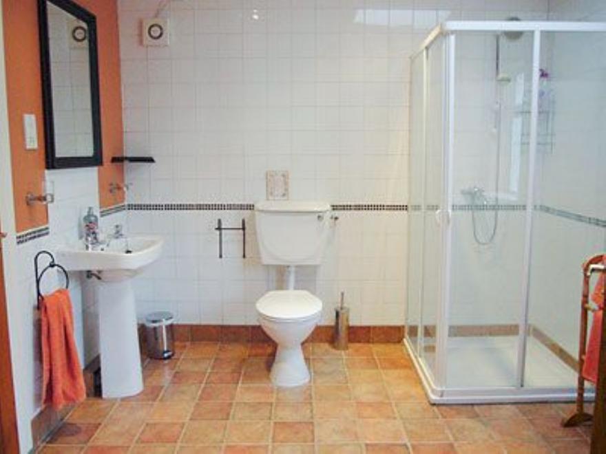 Ballagh Cottage - W31914