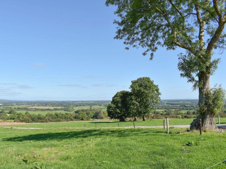 Countryside Stillness