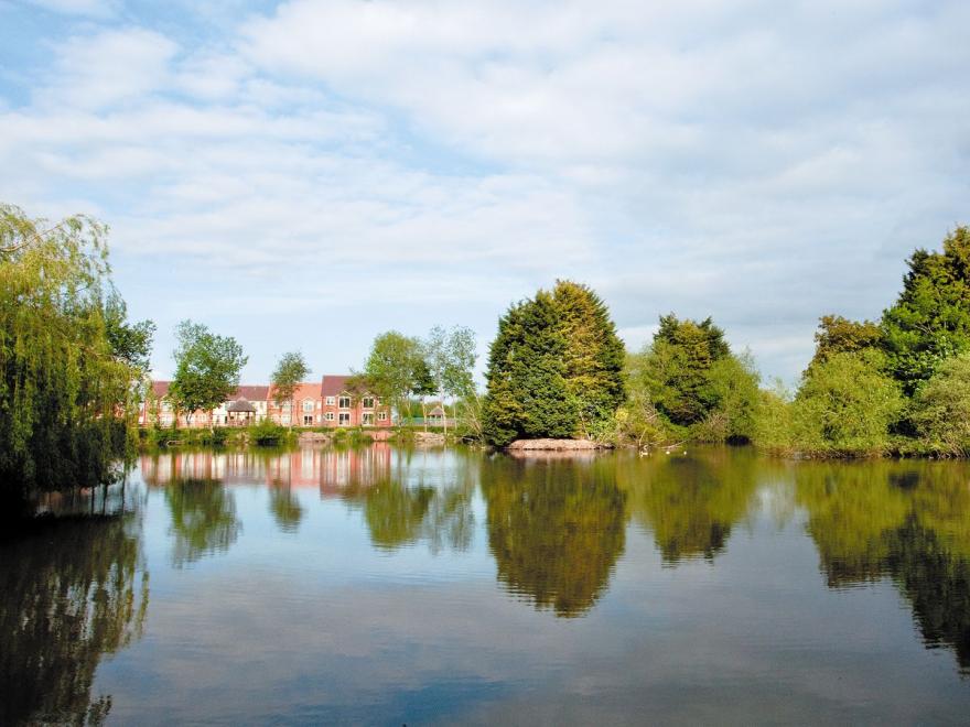 Ladybird Cottage - E5491