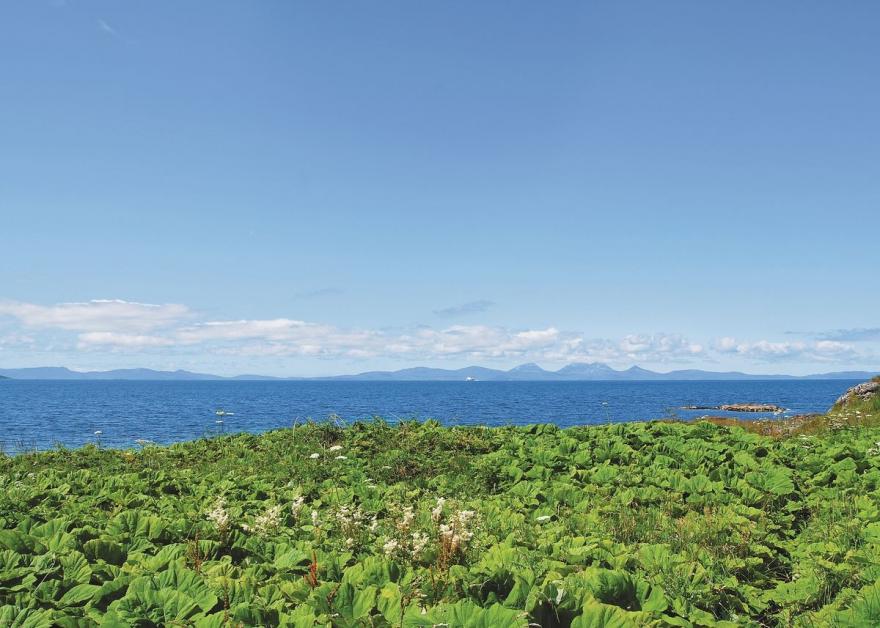 Langa Cottage - S4610