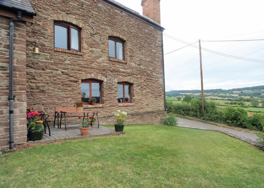 The Decolette - HW7691