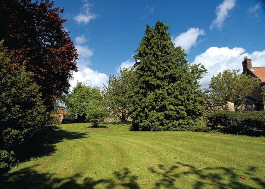 Manor Farm Cottage - E3632