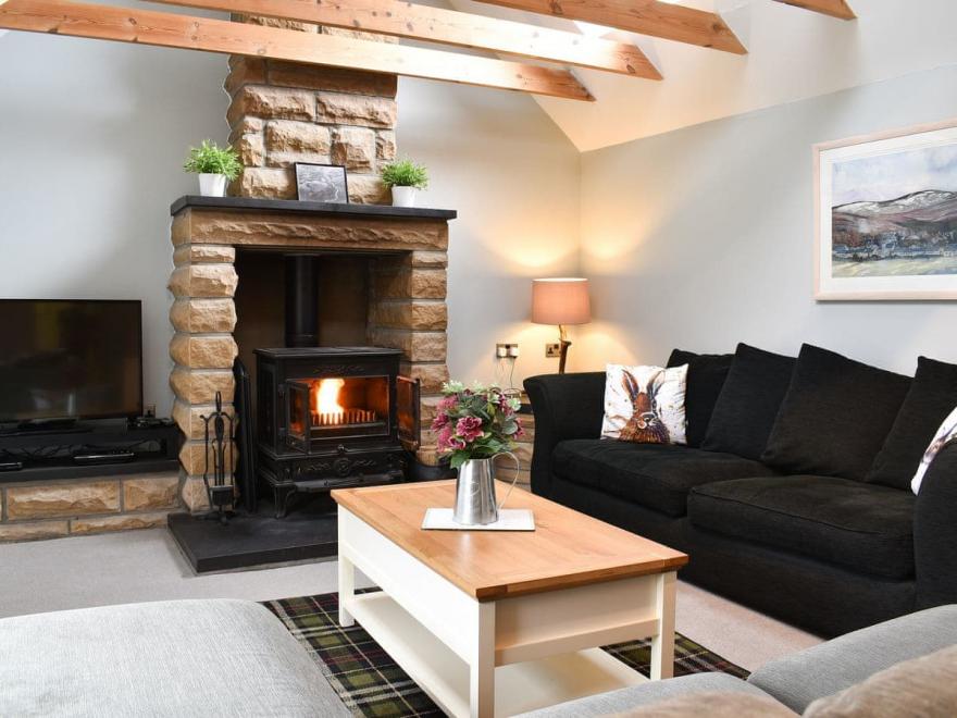 Ailnack Cottage - 25224