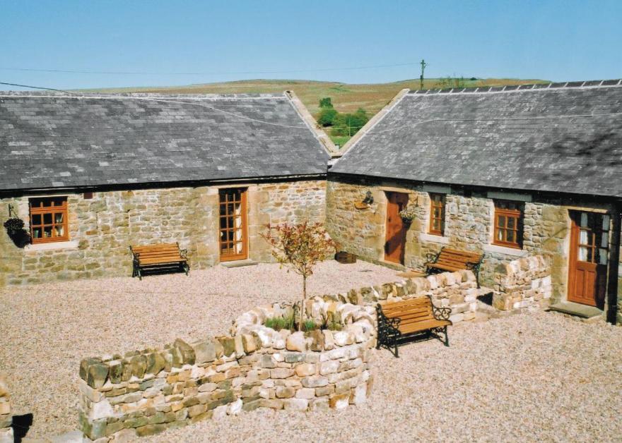 Chicken Coop View Cott - E3333