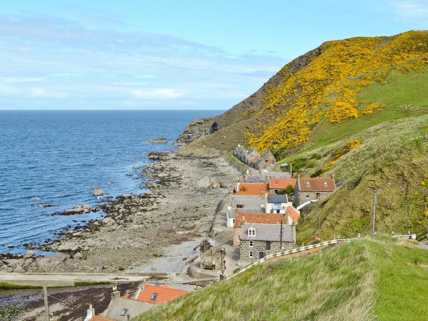 Crovie