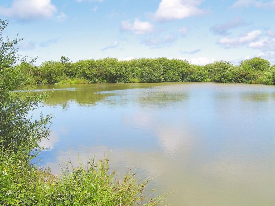 Goldfinch Apartment -B4369