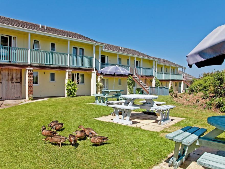 Primrose Apartment -B6135