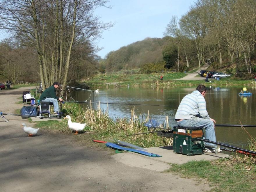 Mill Farm Cottages - The Nook