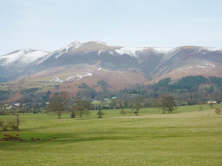 Acorn Lodge - Burnside Park