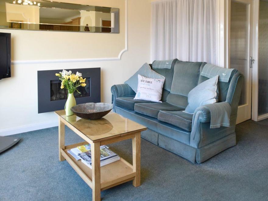 Badgers Rake 12 Squirrels Nest