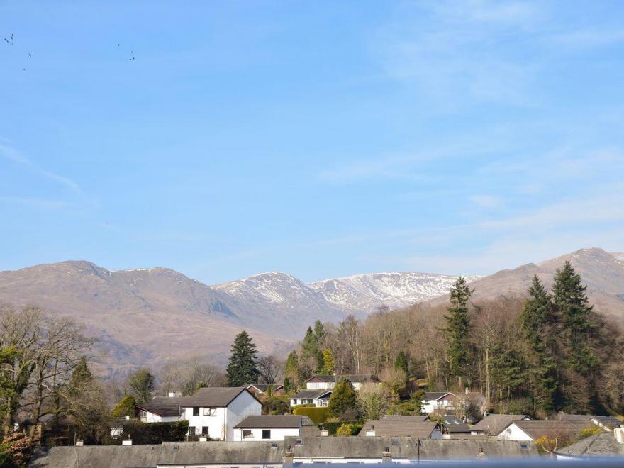 Badgers Rake 12 Squirrels Nest