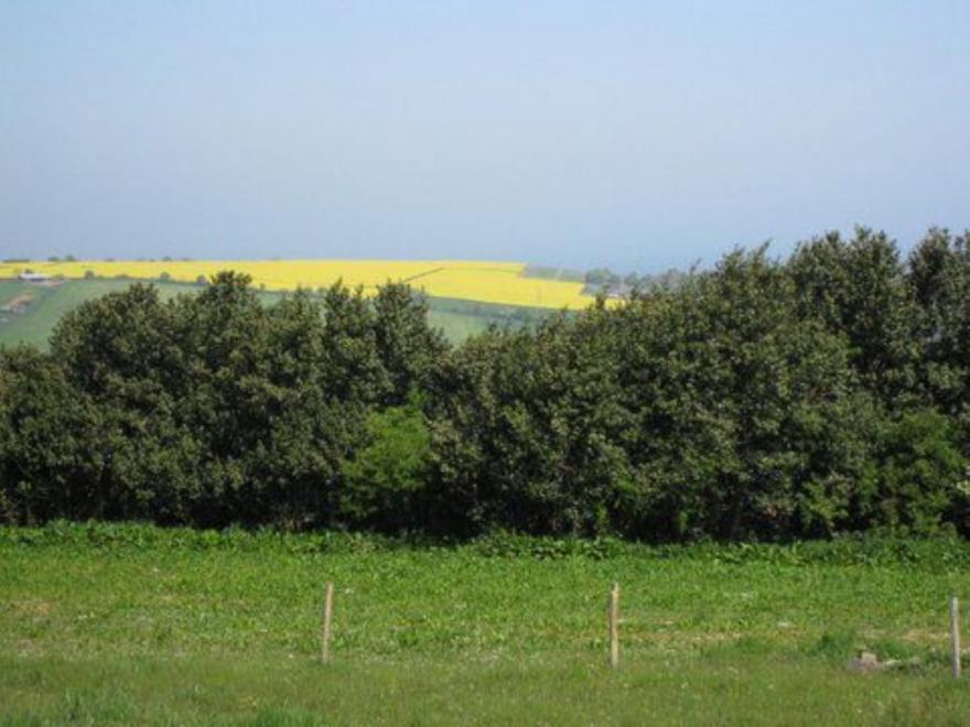 Wilson Cottages- The Cottage