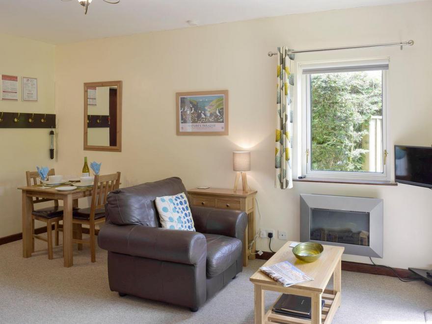 The Old Coach House-Skomer