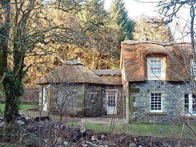 Forget Me Not - SKKZ