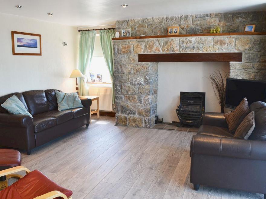 Bodlasan Groes Cottage - 26946