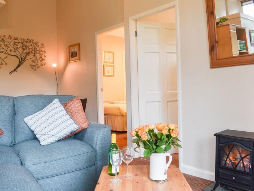 The Coaches  - 26968