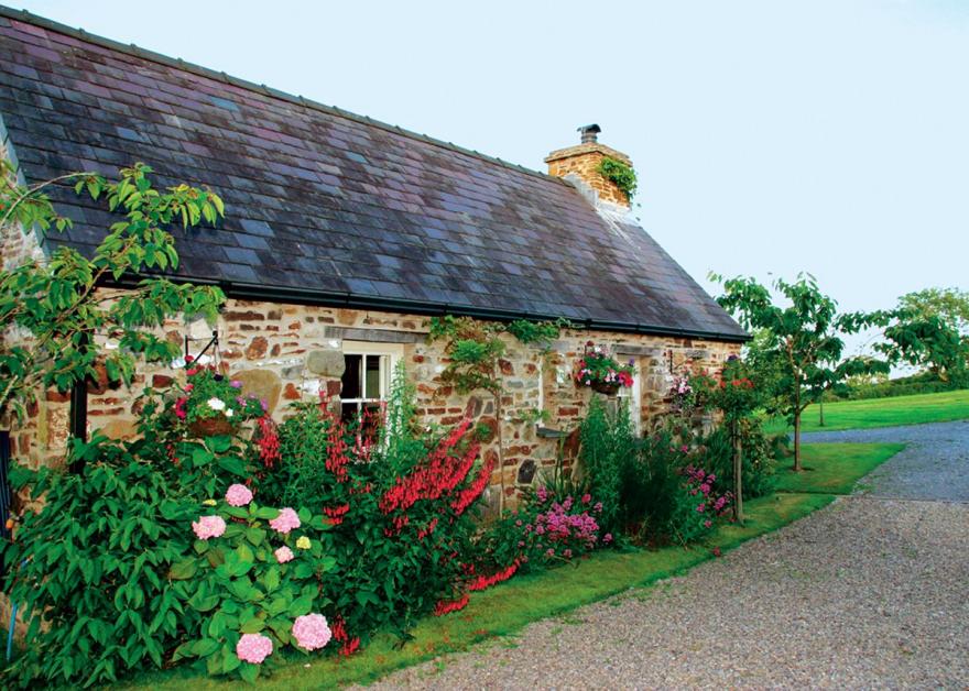 Primrose Cottage - HW7100