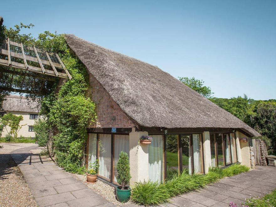 Swallow Cottage - 31207