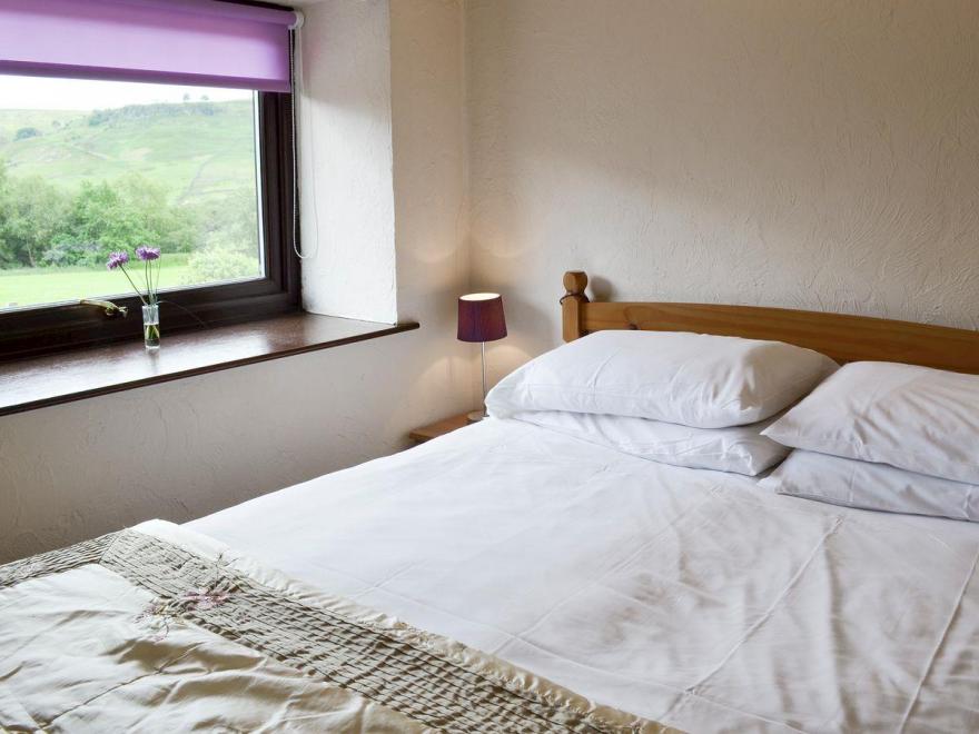 Trevena Star - 18423