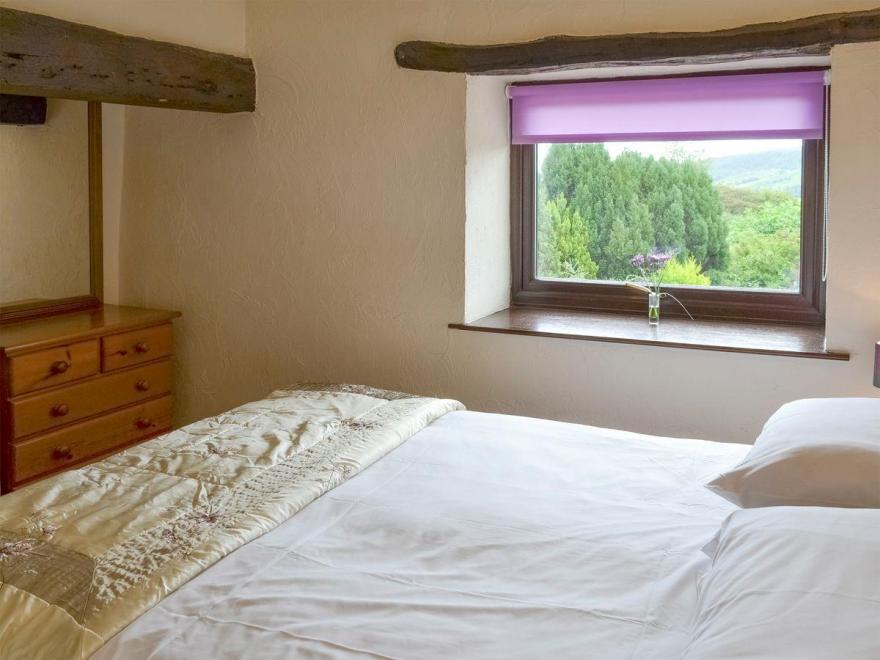 Trevena Star - 18423