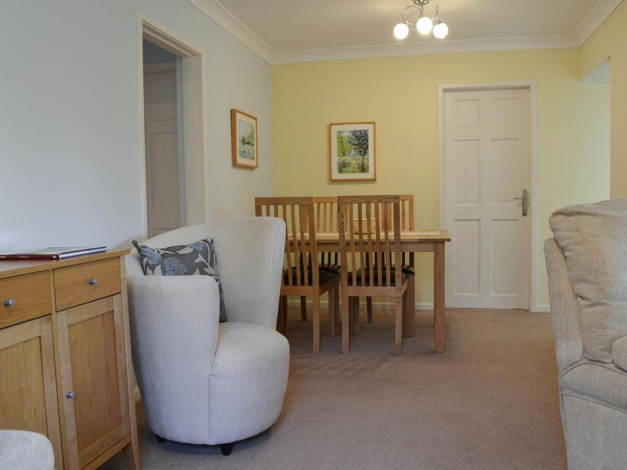 Spring Mouse Apartment