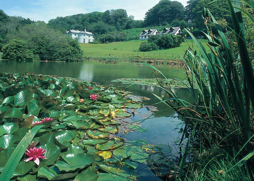 Rosecraddoc Manor - Heron