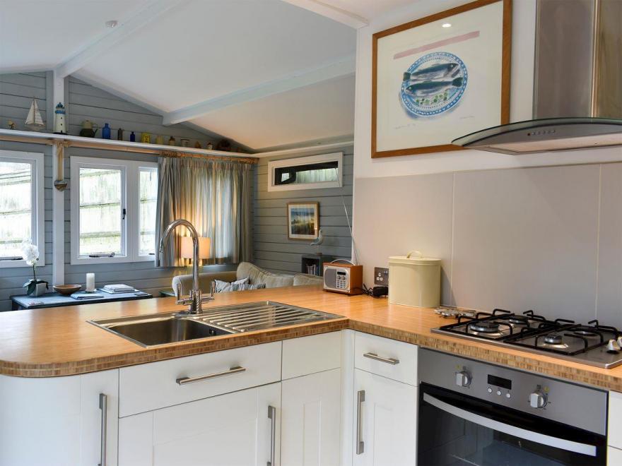 The Cat and Moose Cabin