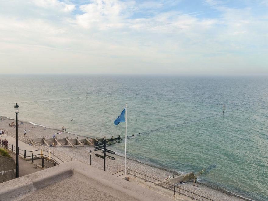 Little Seahorse - UKC1066