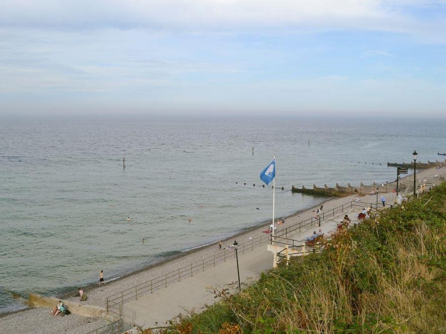 The Seahorses - UKC1067