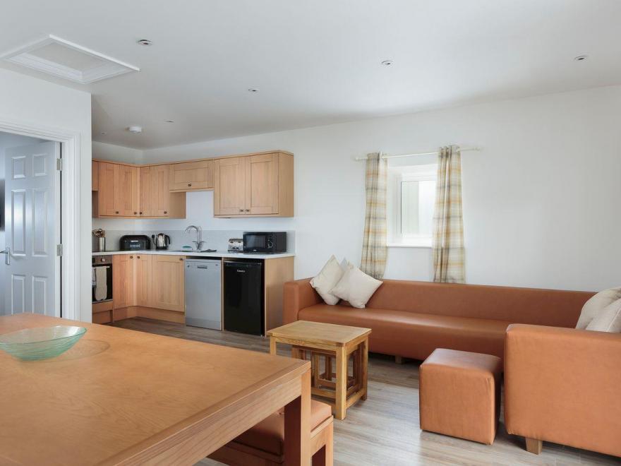 Bewick Swan - UKC2111