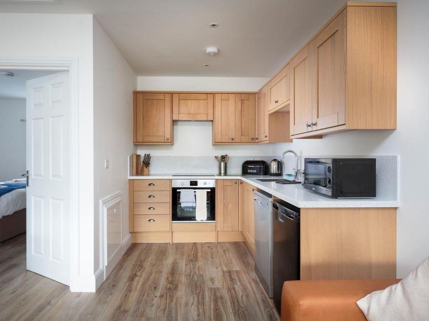 Bewick Swan - UKC2111