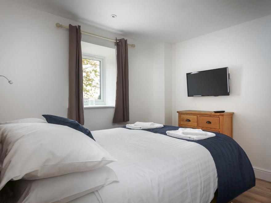 Bewick Swan - UKC2111