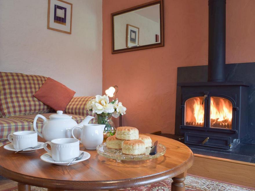 Cothi Cottage - UK6380