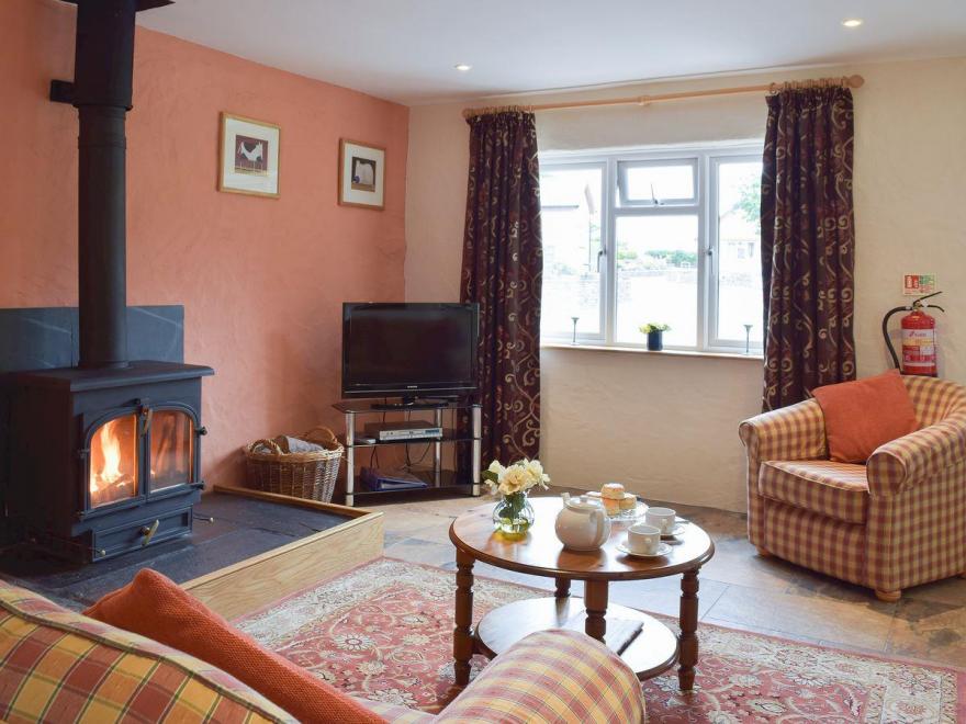 Cothi Cottage - UK6380