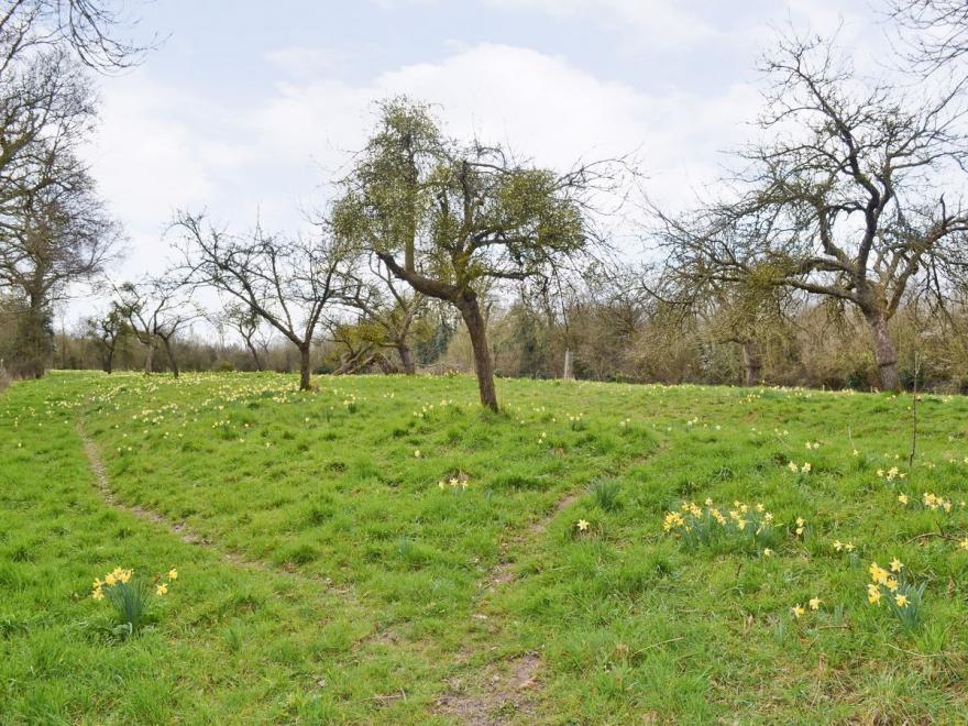 Orchard Cottage