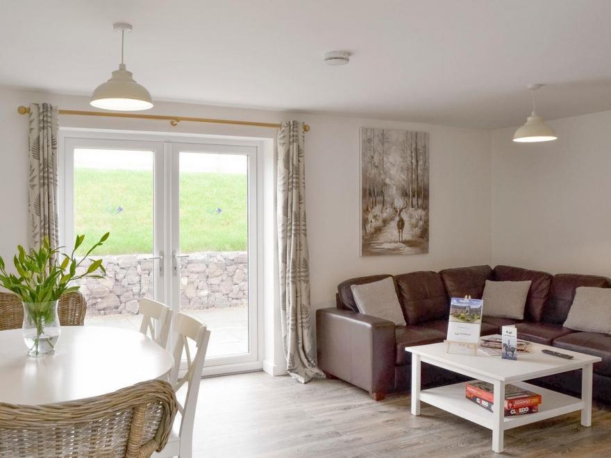 Sea Biscuit  - UKC2493