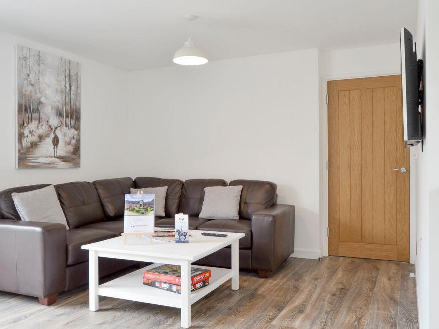 Sea Biscuit  - UKC2493